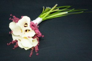 zdjęcie 2 (18)