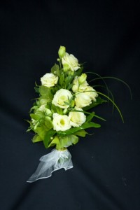 zdjęcie 4 (18)